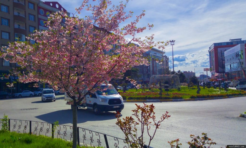 تور وان اردیبهشت 1403